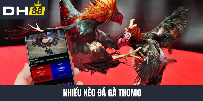 Nhiều kèo đá gà Thomo